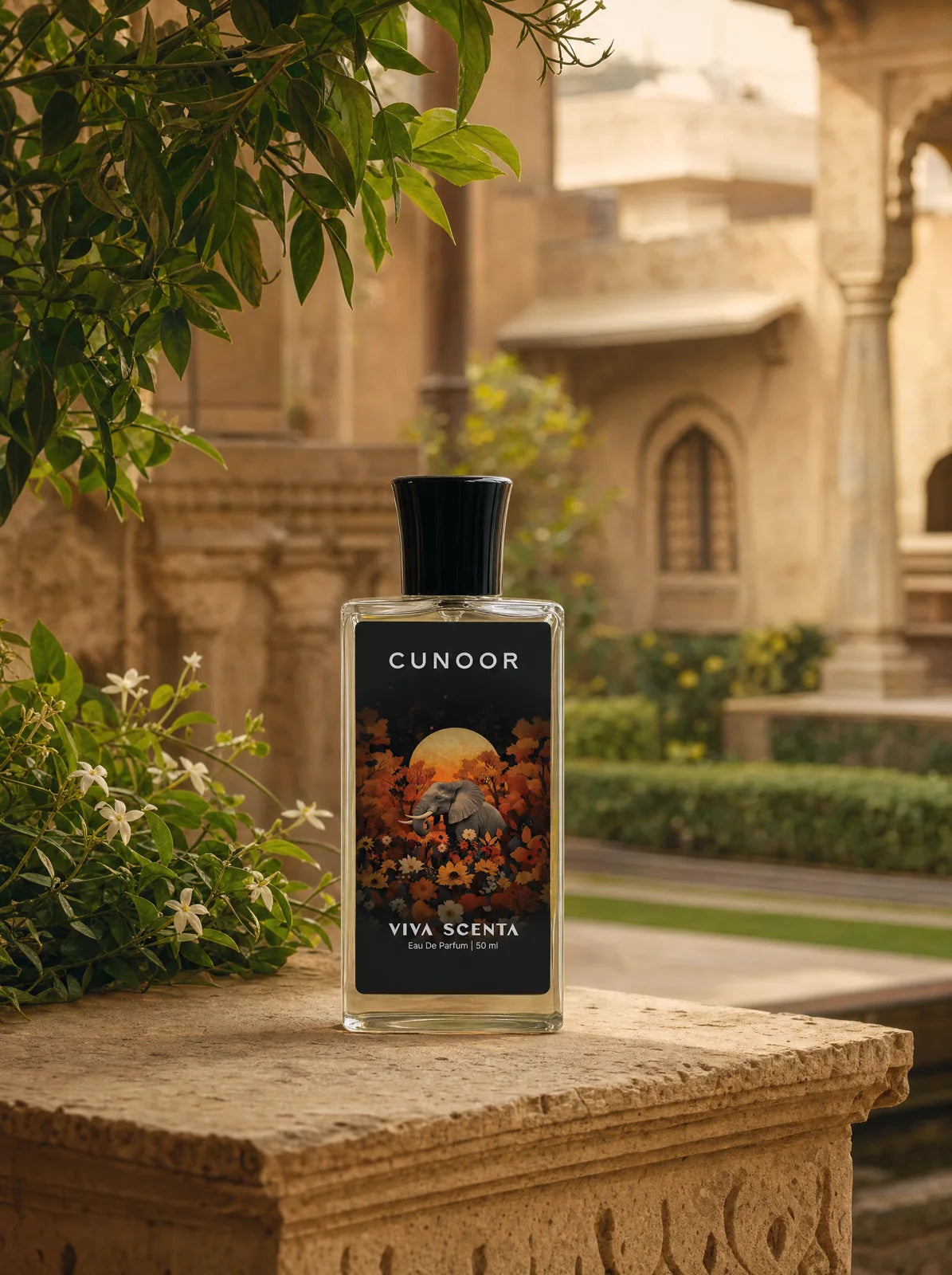 Cunoor bottle on a sandstone ledge in a heritage courtyard, late-afternoon sun